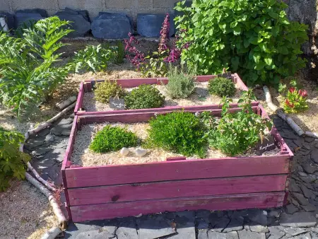 Gîte familial proche des châteaux de la Loire, animaux admis, jardin privé - Photo 19