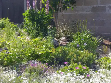 Gîte familial proche des châteaux de la Loire, animaux admis, jardin privé - Photo 21