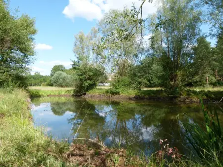 Gîte champêtre pour 5 pers avec terrasse près des châteaux, animaux admis - Photo 26