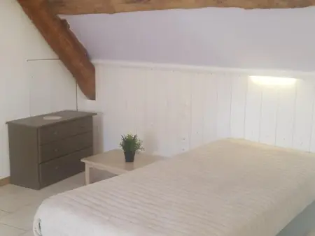 Gîte 18ème avec jardin, jeux, et ateliers cuisine près de l'Abbaye de Pontlevoy. - Photo 15