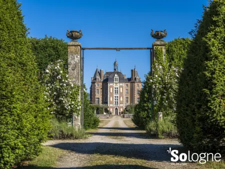 Gîte de plain-pied avec jardin privatif, animaux acceptés - Photo 10
