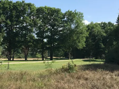 Gîte de plain-pied avec jardin privatif, animaux acceptés - Photo 17
