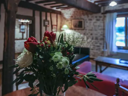Maison restaurée avec jardin près de Vendôme, 3 chambres, cheminée, BBQ, internet, animaux acceptés - Photo 11