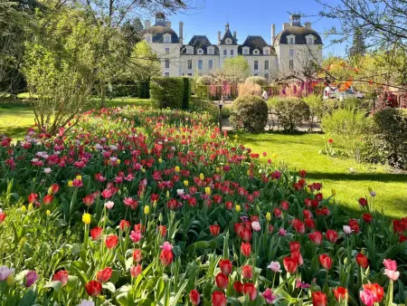 Gîte Solognot avec Jardin et Parking Sécurisé - Photo 23