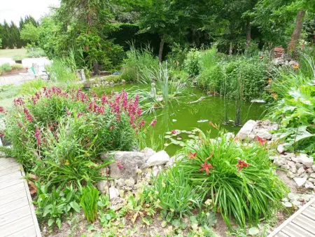 Gîte tout confort avec grand jardin, cheminée, clim et WIFI, proche châteaux de la Loire et ZooParc de Beauval - Photo 14