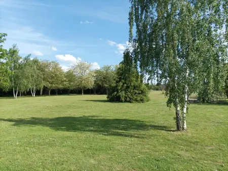 Gîte tout confort avec grand jardin, cheminée, clim et WIFI, proche châteaux de la Loire et ZooParc de Beauval - Photo 21
