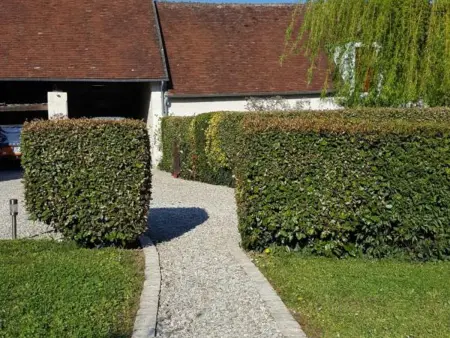 Gîte calme proche Zoo de Beauval et Châteaux de la Loire - Photo 31