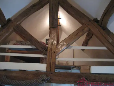 Gîte avec étang et barque, détente en Sologne - Photo 4