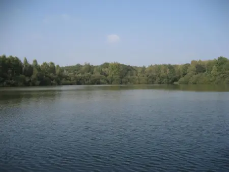 Gîte avec étang et barque, détente en Sologne - Photo 7