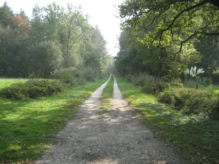 Gîte avec étang et barque, détente en Sologne - Photo 8