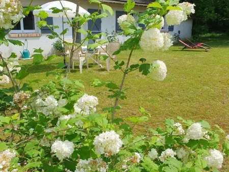 Gîte de charme avec étang en Sologne, tout inclus, proche châteaux de la Loire et randonnées - Photo 25
