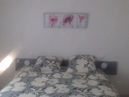 Maison plain-pied 3 ch avec sdb privatives, cour et jardin, proche Blois et châteaux de la Loire - Photo 16