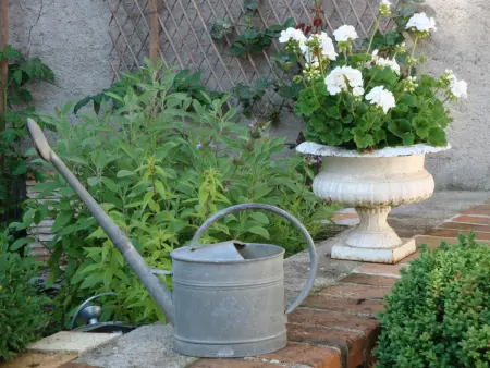 Gîte de Charme au Cœur de Blois avec Jardin Privé, Garage et Équipements Modernes - Photo 14